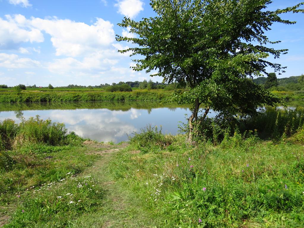 klasztormiejscowkalewa1