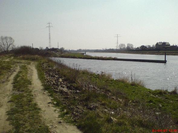 Odra- Kędzierzyn Kożle ujście kanału gliwickiego(Opolski