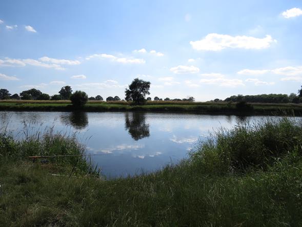 Odra - Dęby (Opolskie)