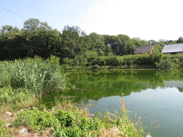 Kanał gliwicki k. pławniowic - śluza (Śląskie)